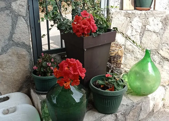 Apartments Nino Skadar Lake
