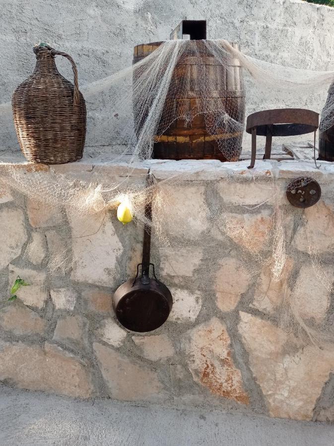 Daire Nino Skadar *