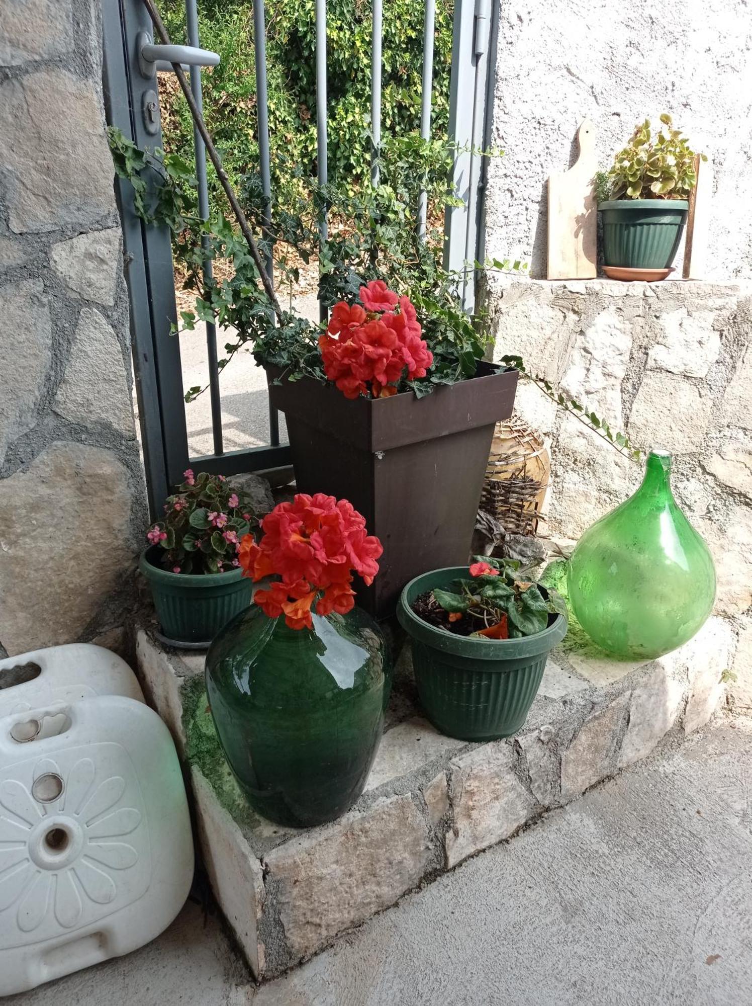 Apartment Nino Skadar *