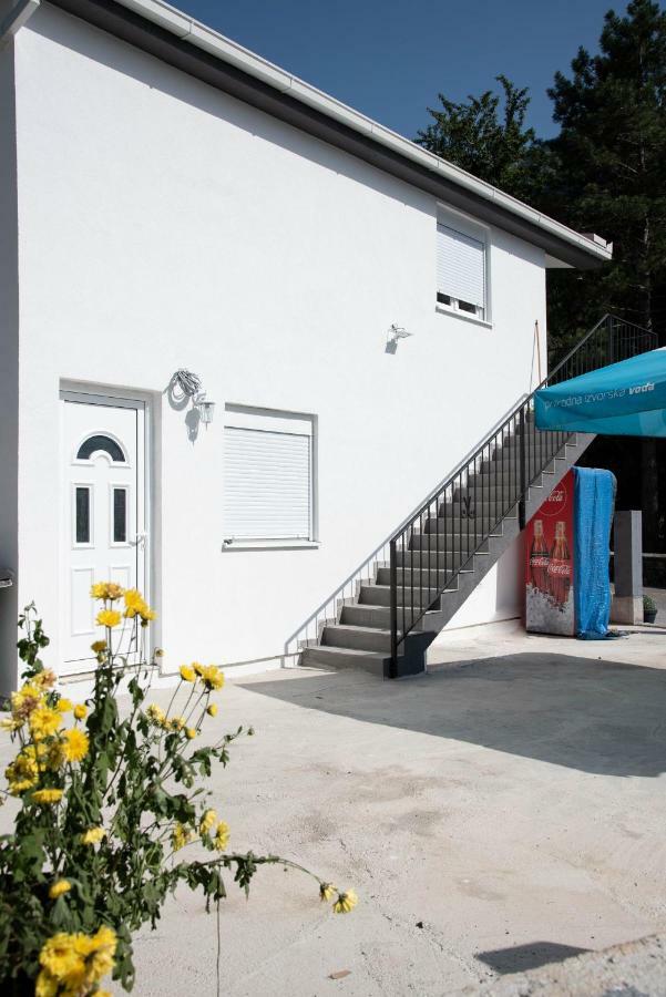 Apartment Nino Skadar *