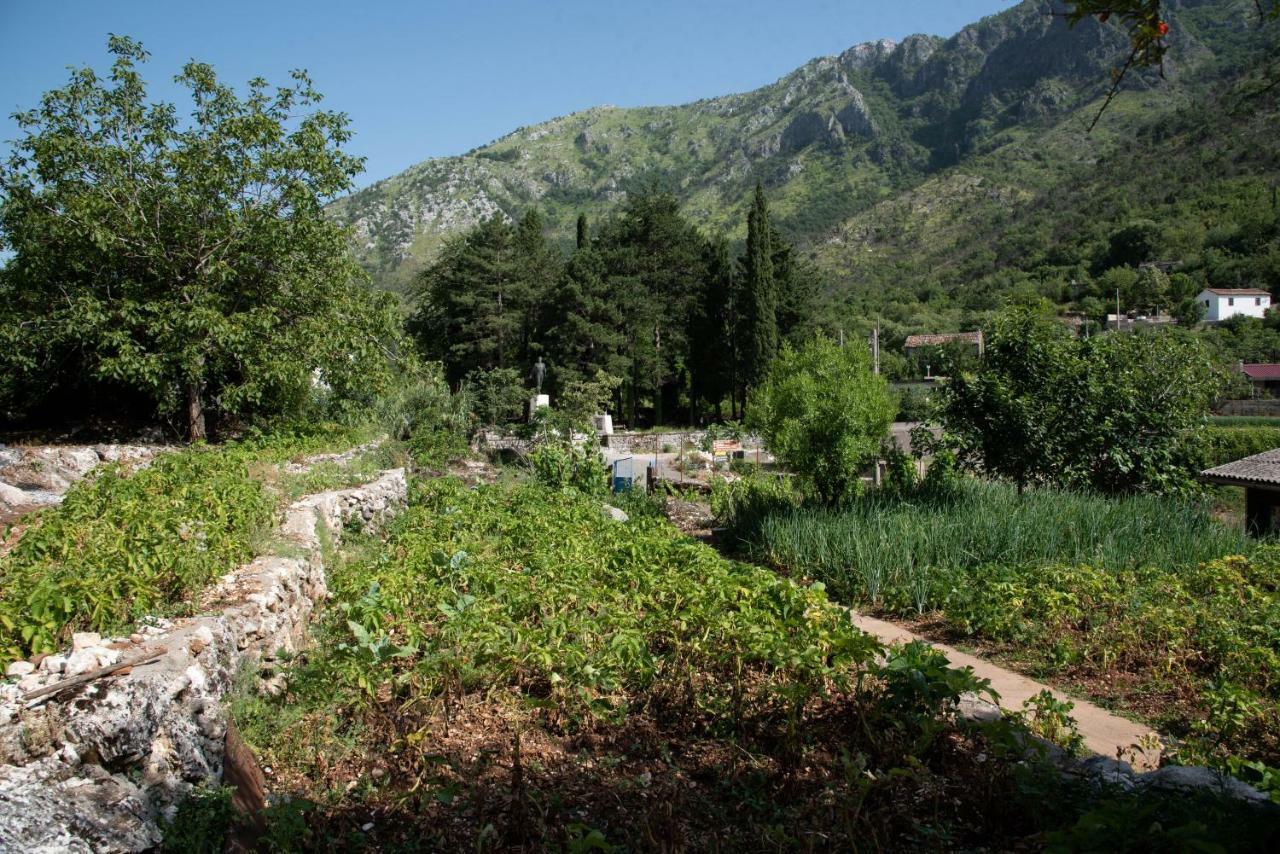 Nino Skadar Apartment