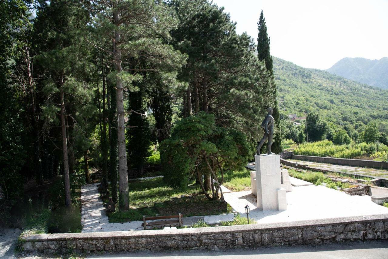 Nino Skadar *