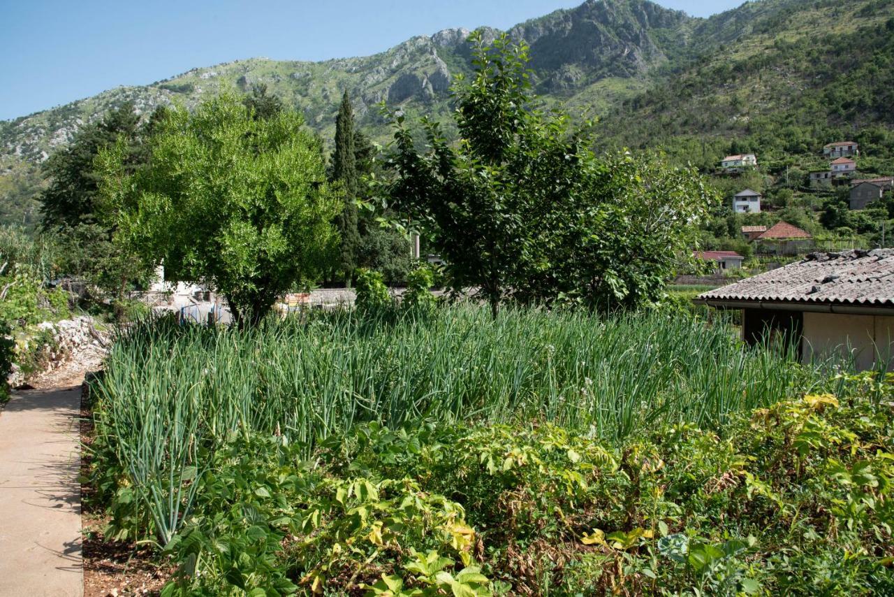 Apartment Nino Skadar Virpazar
