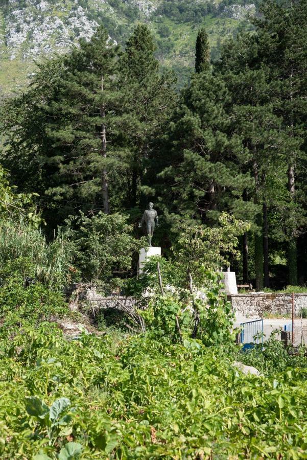 Nino Skadar Daire