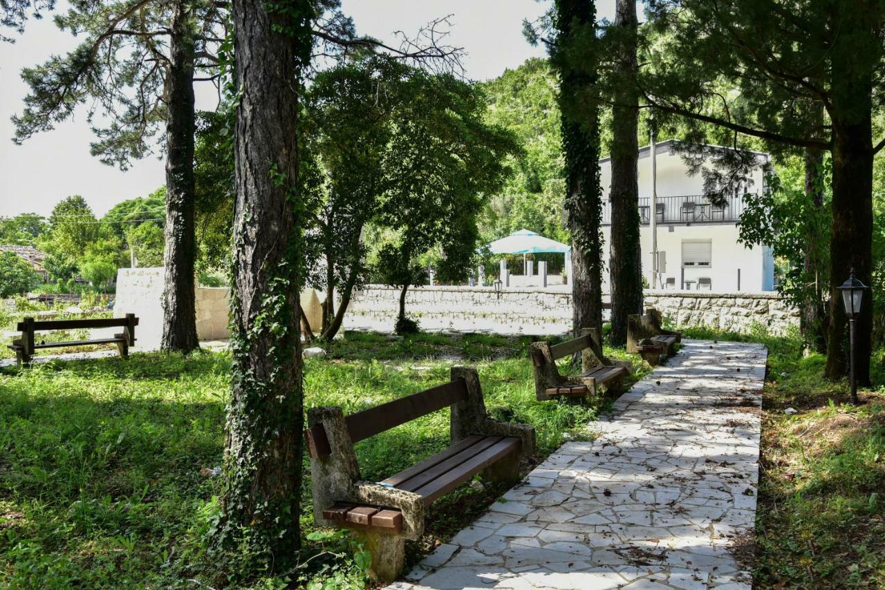 Nino Skadar Virpazar